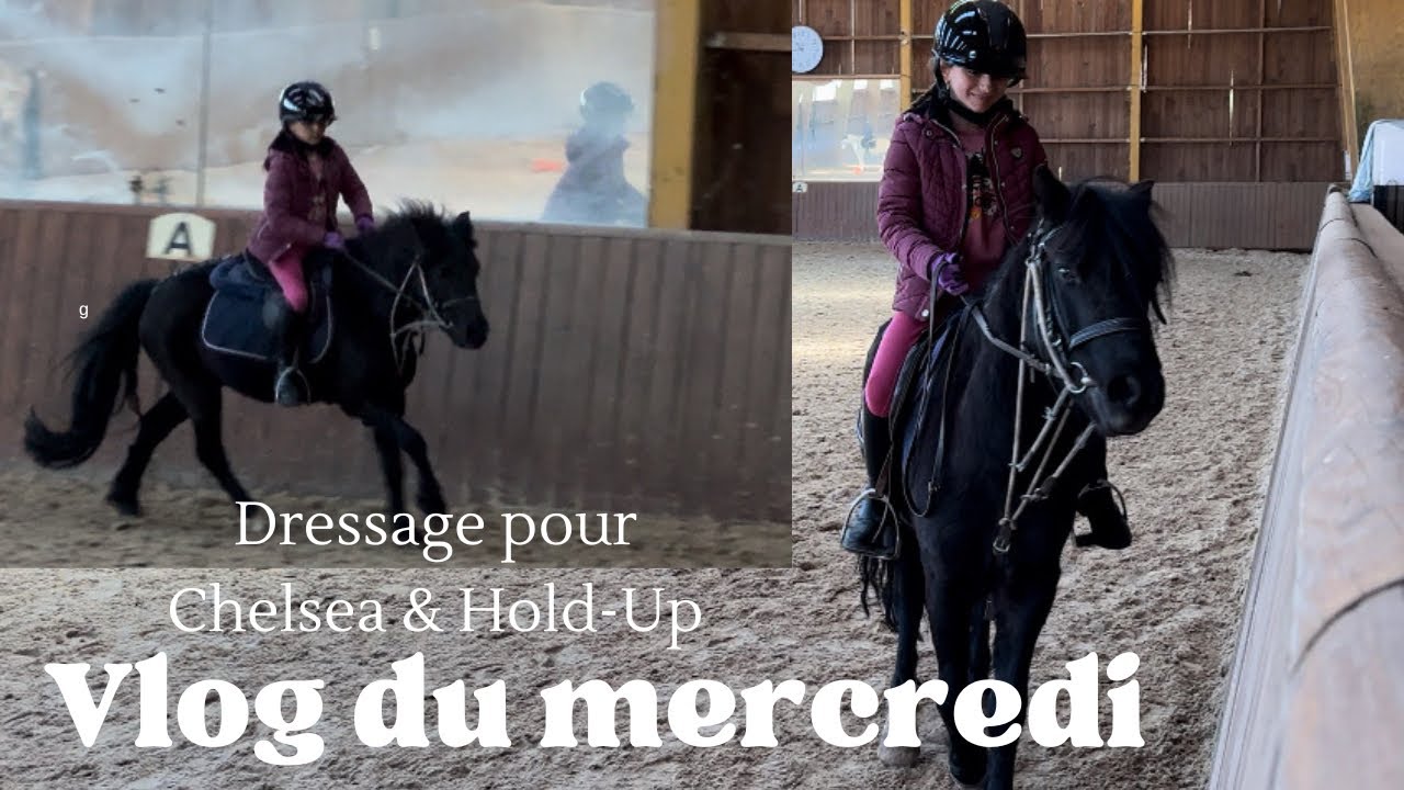 Vlog du mercredi - 10.04.2024 - Dressage pour Chelsea et Hold-Up