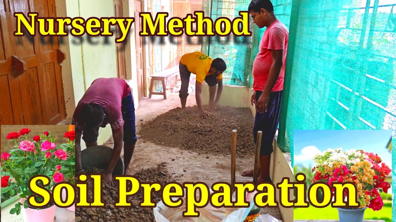 Nursery technique of Soil Preparation for Bougainvillea, Roses and Winter season flower plants 
