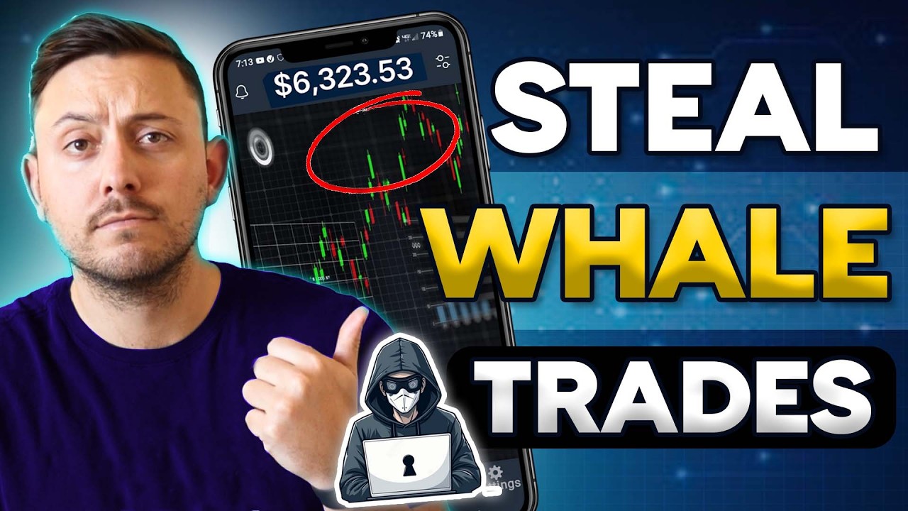 How to Copy Trade the Biggest Crypto Whales on Solana and Make Money with GMGN.ai + Telegram Bot