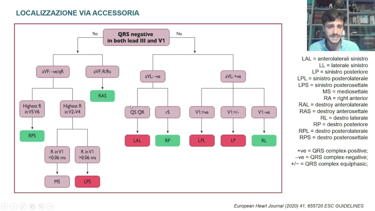 WPW dall'ECG di superificie all'ablazione transcatetere - ARABIA