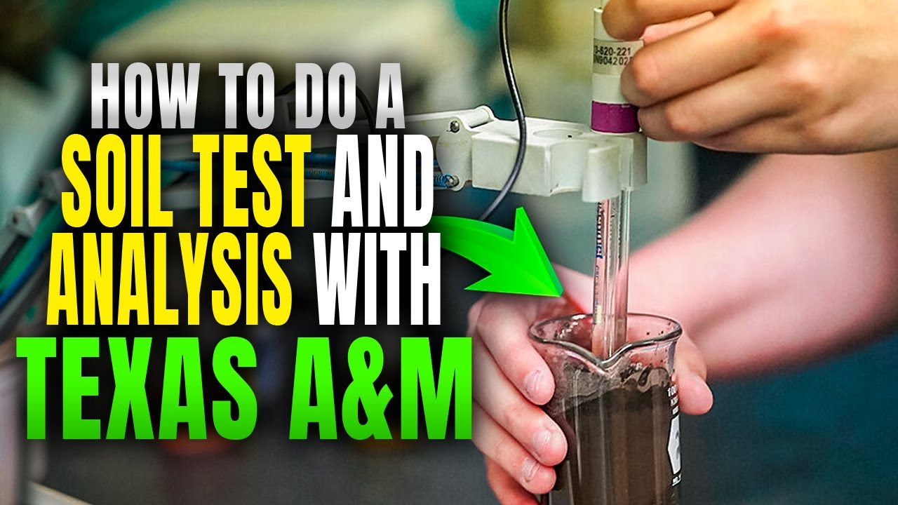How To Do a Soil Test and Analysis with Texas A&M