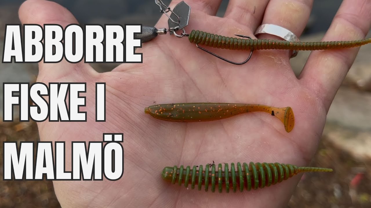 Gött fiske efter ABBORRE - free rig, TWISTY och vårkänsla