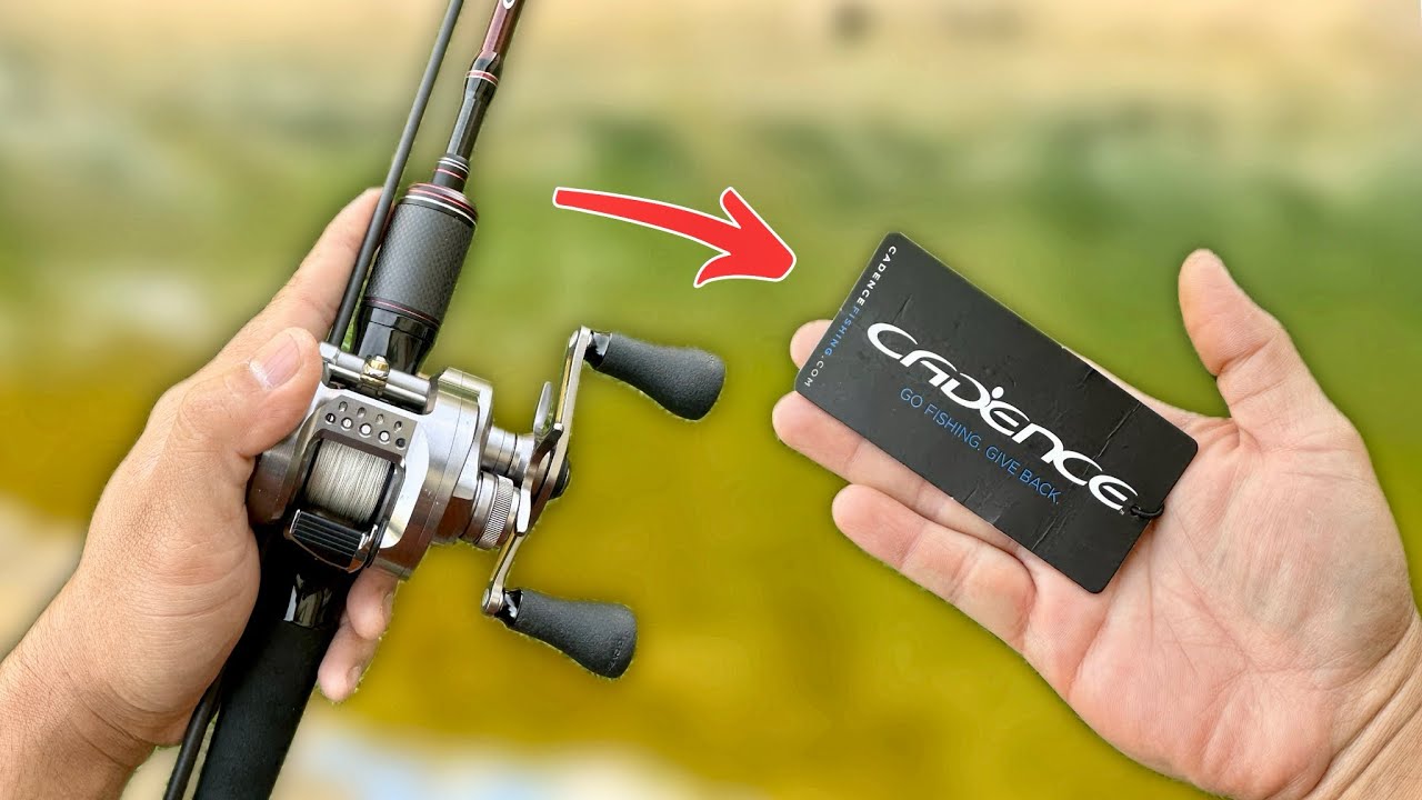 The Best Budget Power BFS Rod ?? CEDANCE VIGOR 610 Medium Light Fast 2pcs