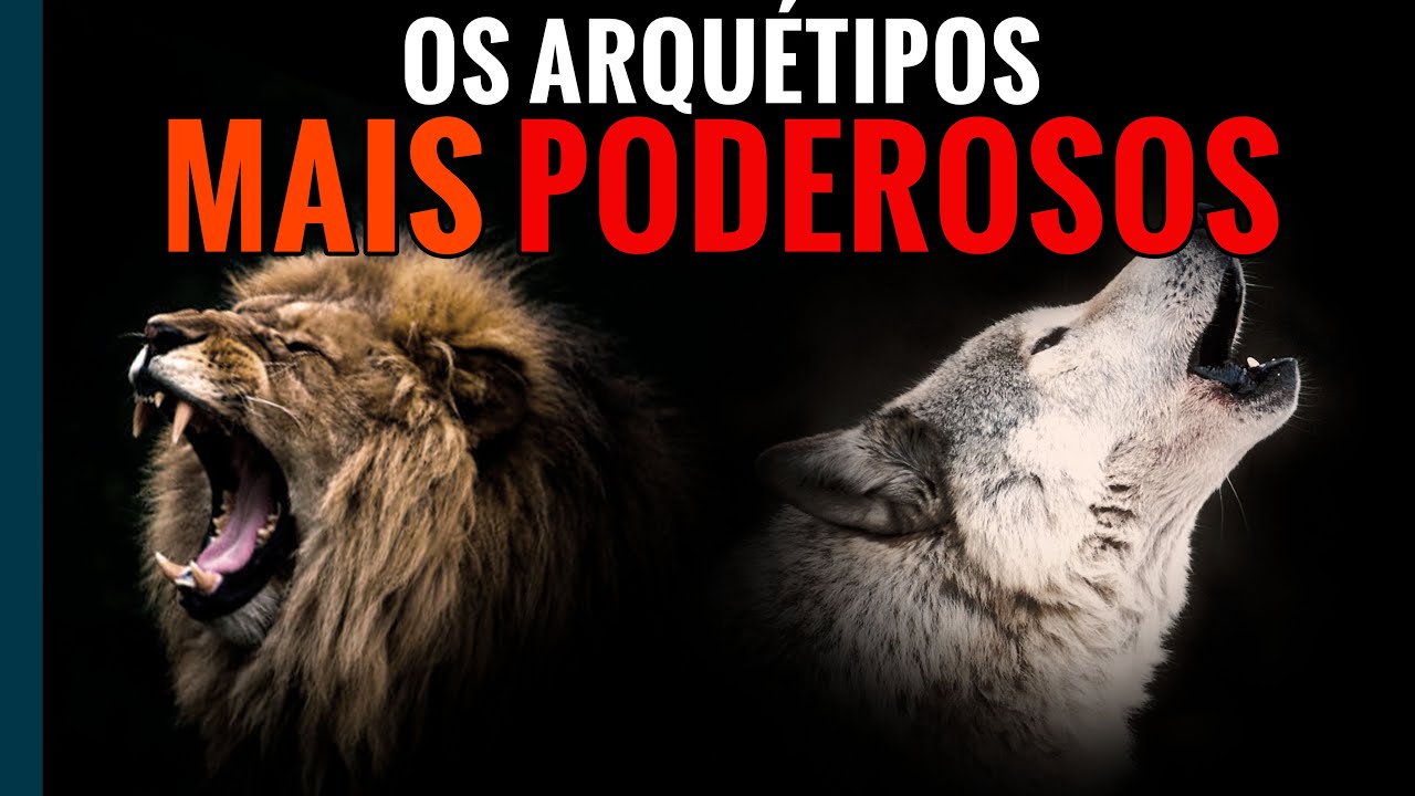 Machos Alfa NUNCA desafiam Homens SIGMAS (ENTENDA AGORA)