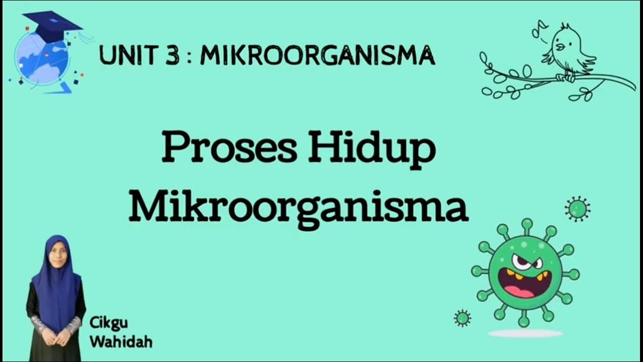 SAINS TAHUN 6 : MIKROORGANISMA (Proses Hidup Mikroorganisma)
