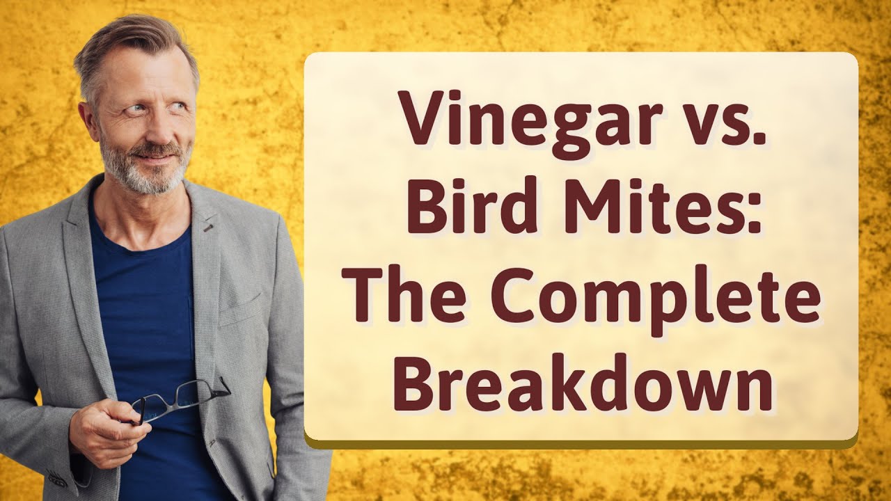 Vinegar vs. Bird Mites: The Complete Breakdown
