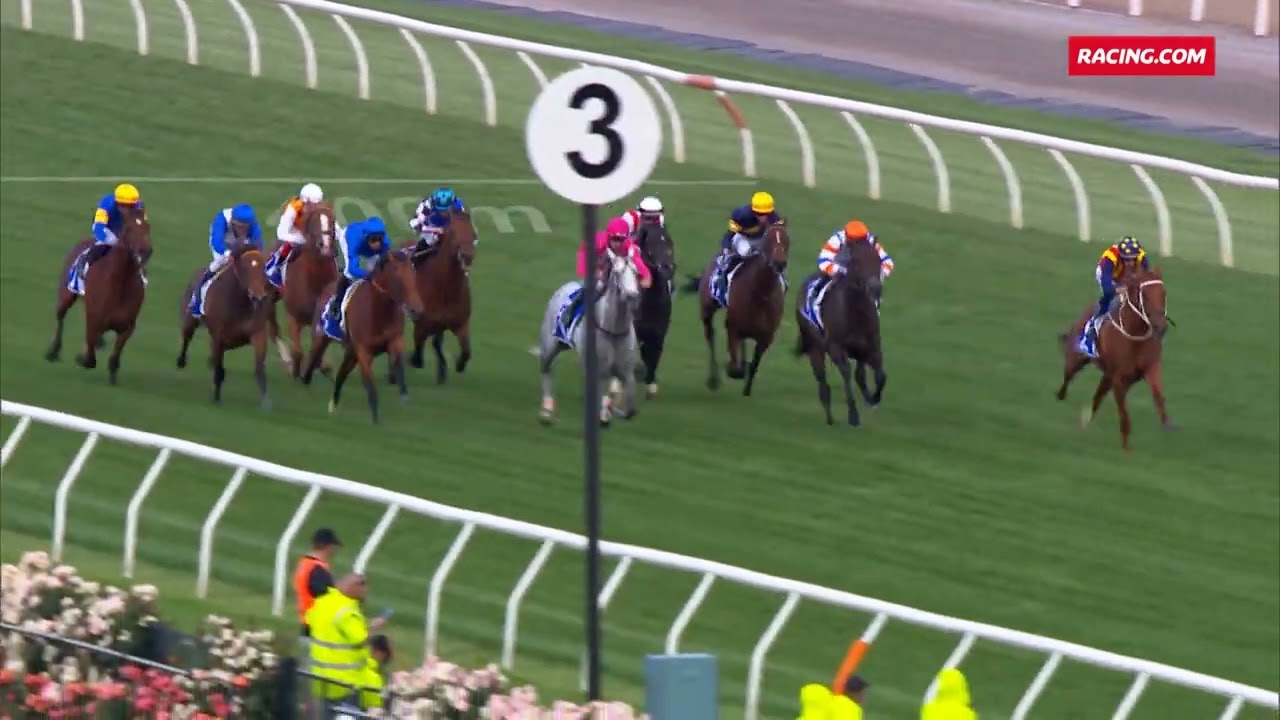 BIVOUAC 2020 Darley Sprint Classic 600m