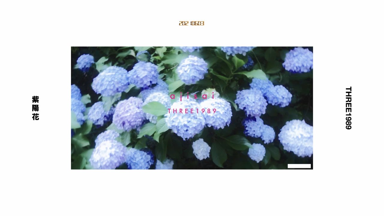 紫陽花 / THREE1989 (Lyric Video)