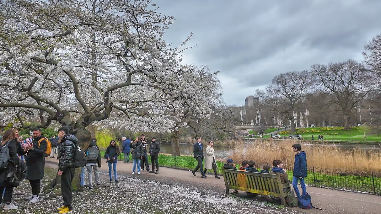 London Spring Walk 🌸 St James&rsquo;s Park to South Bank incl. Cherry Blossoms [4K]