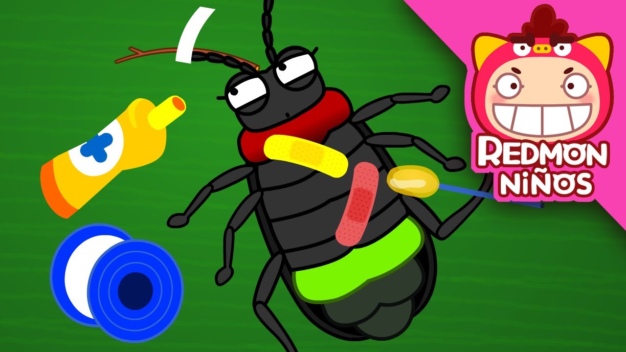 ¡Salven a la luciérnaga! | Equipo de rescate de insectos | redmon Español | REDMON NiÑOS