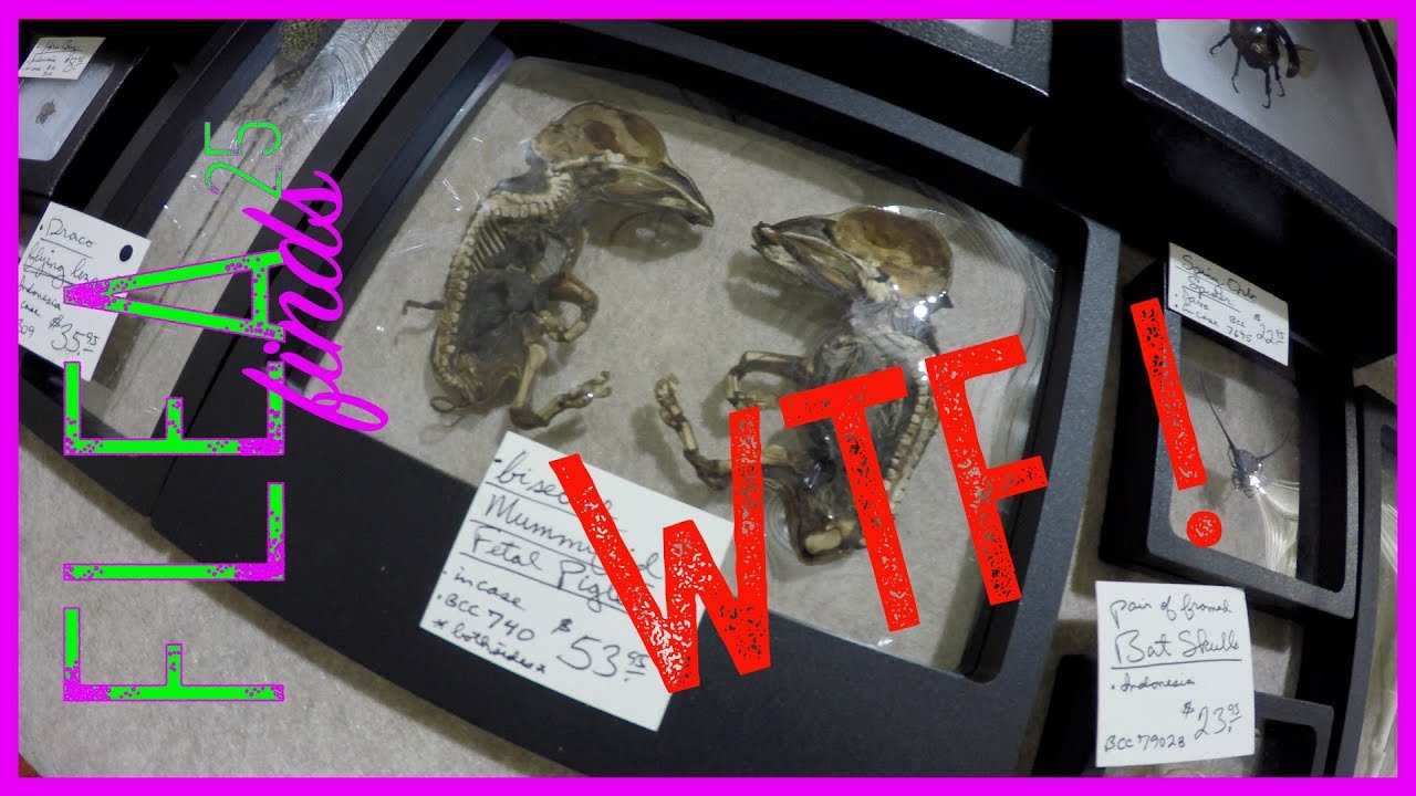 What did I discover! | Columbus Antique Flea Market 2018 | Black Friday | Flea Finds 25