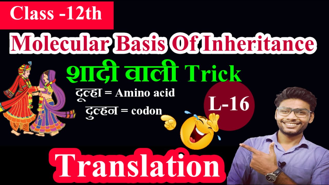 Translation | Class 12 | Molecular Basis Of Inheritance | Pradeeps Biology