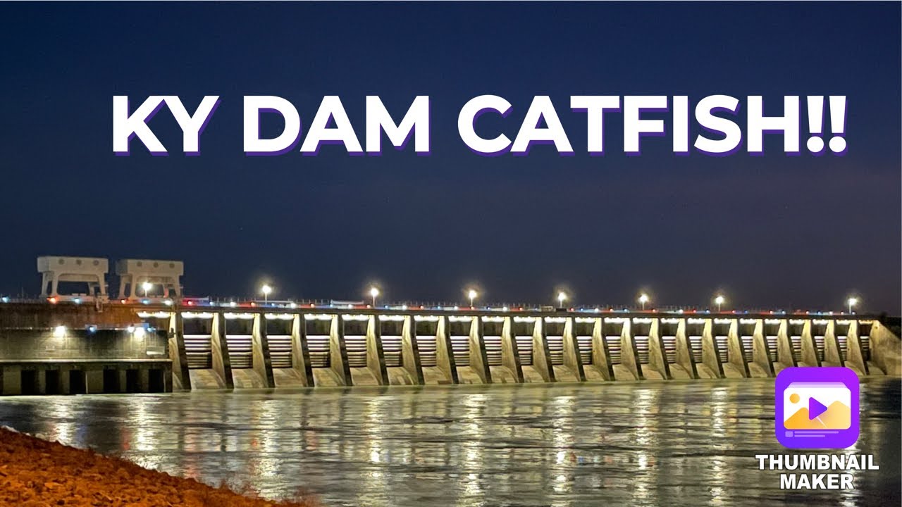 BANK FISHING KENTUCKY DAM - TENNESSEE RIVER CATFISH
