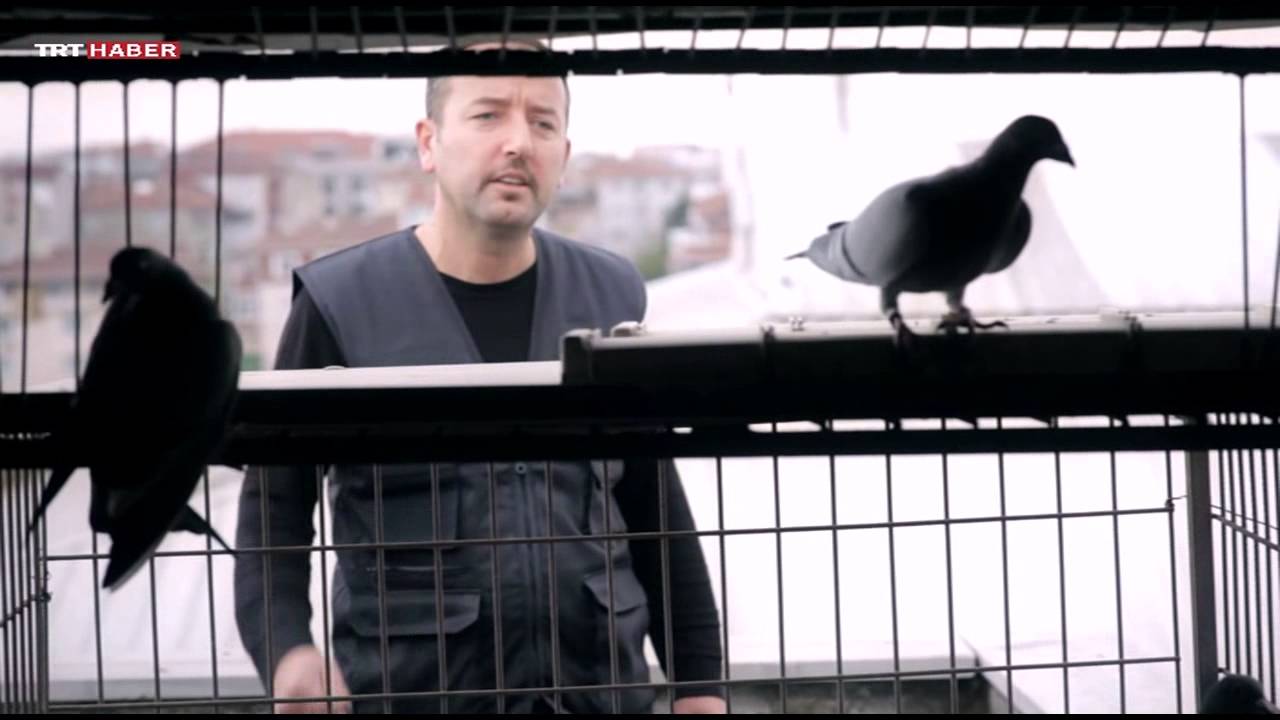 TRT Haber, İnsan, 