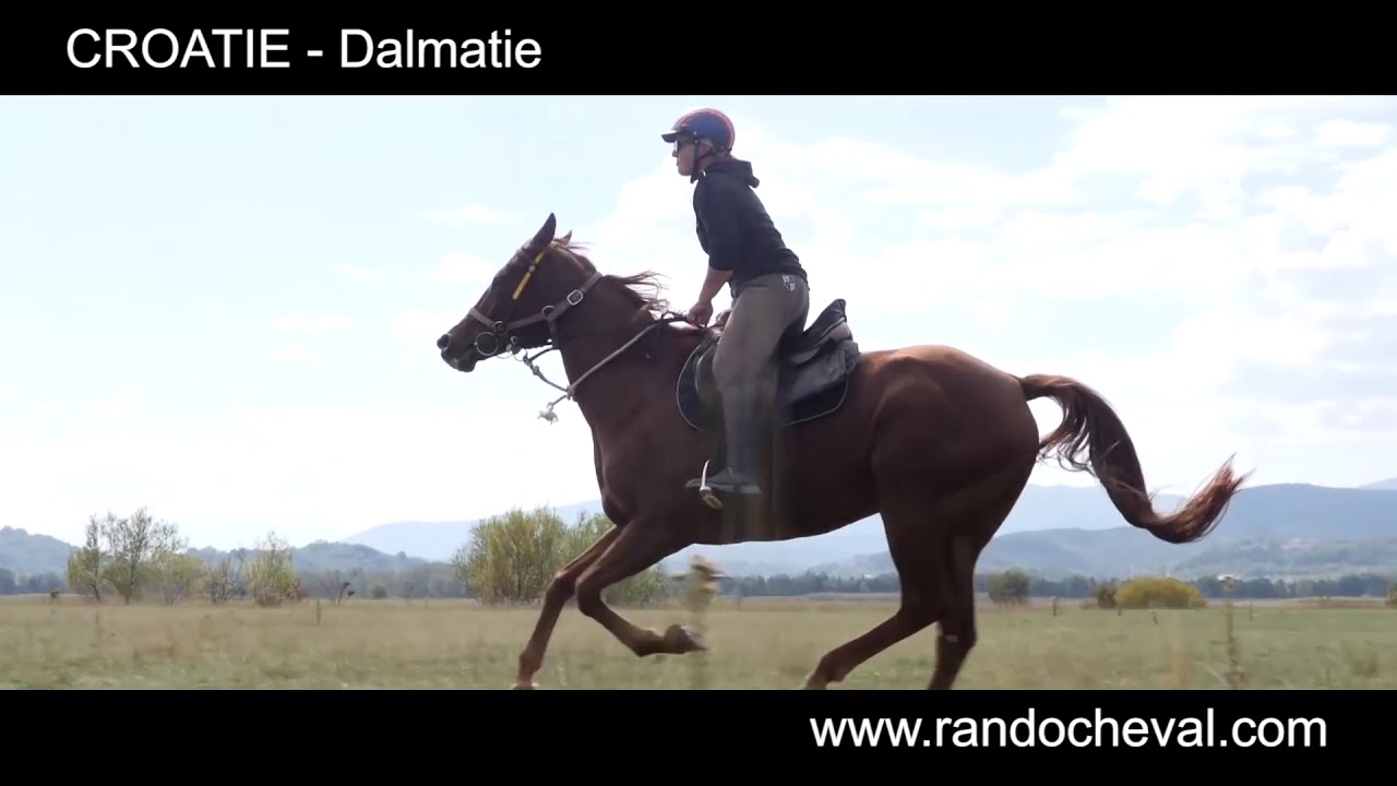 CROATIE - Nos randos à cheval en Dalmatie vues du ciel - Par Randocheval