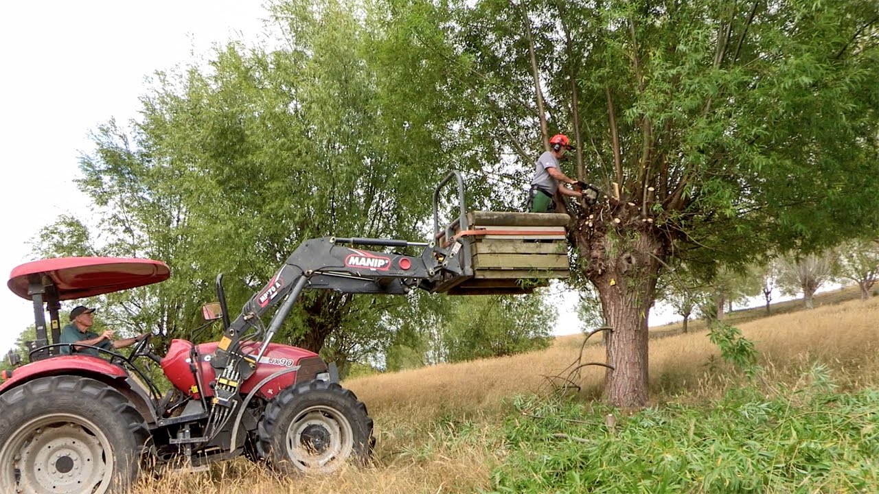 Pollarding Willows from a Tractor-Mounted Box