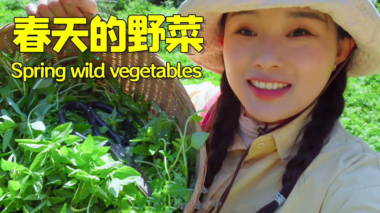 春天到了，去山上摘点野菜给家人做美味的野菜大餐把！| let's go up the mountain to pick some wild vegetables 【叫我阿霞Channel】