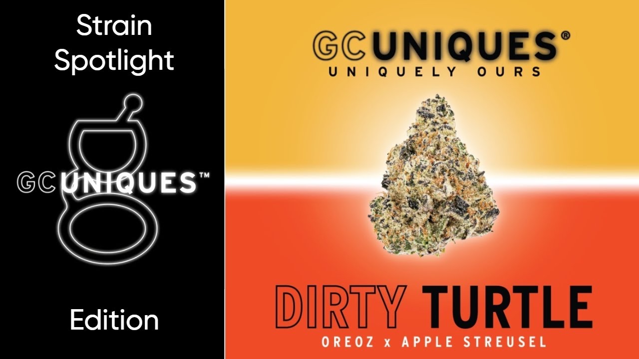 Dirty Turtle - Strain Spotlight - GC Uniques Edition