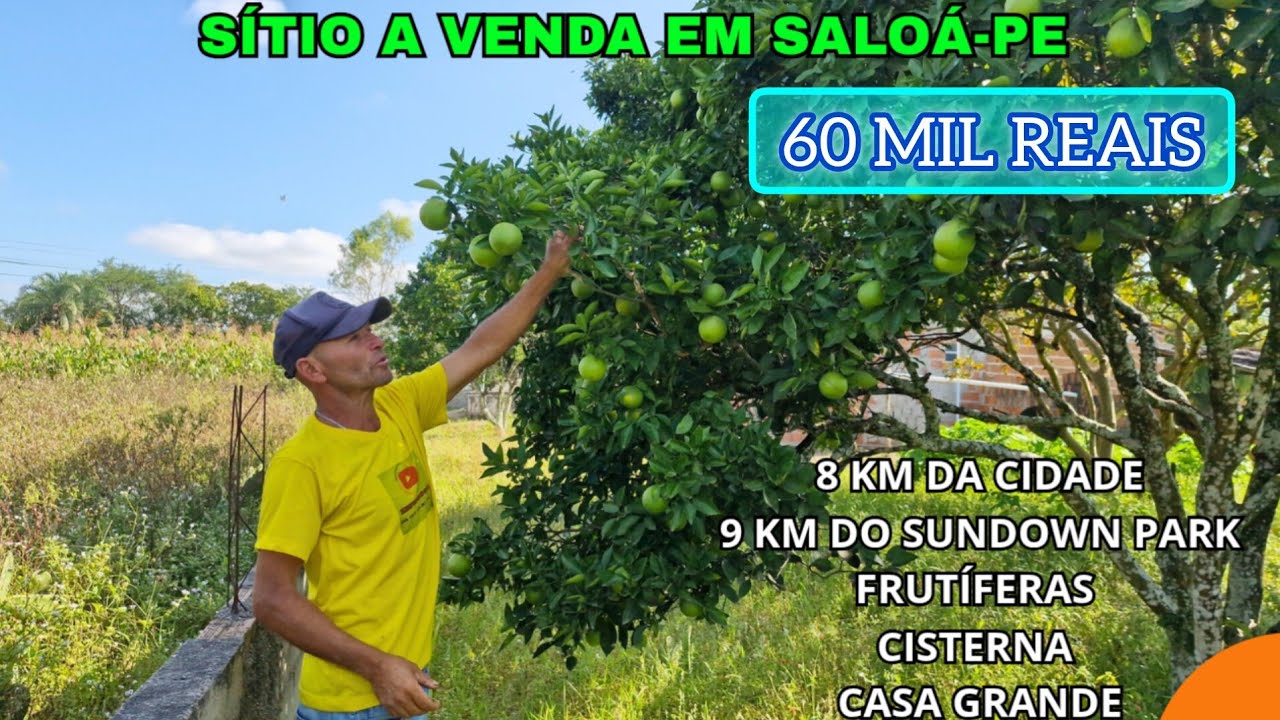 SITIO A VENDA EM SALOÁ-PE/ 8 KM DA CIDADE / 9 KM DO SUNDOWN PARK / ÁGUA ENCANADA E MUITO MAIS 