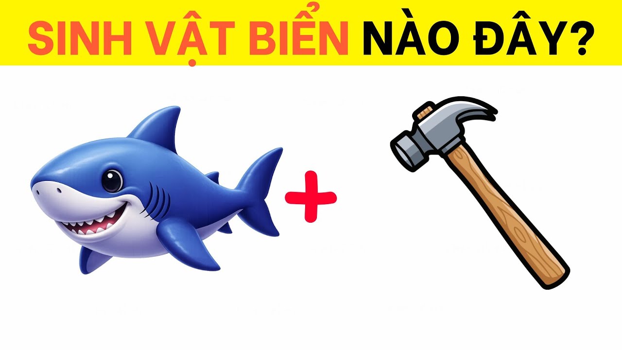 C&acirc;u Đố Đuổi H&igrave;nh Bắt Chữ Đo&aacute;n T&ecirc;n C&aacute;c Lo&agrave;i Sinh Vật Biển | Chan Đố Vui