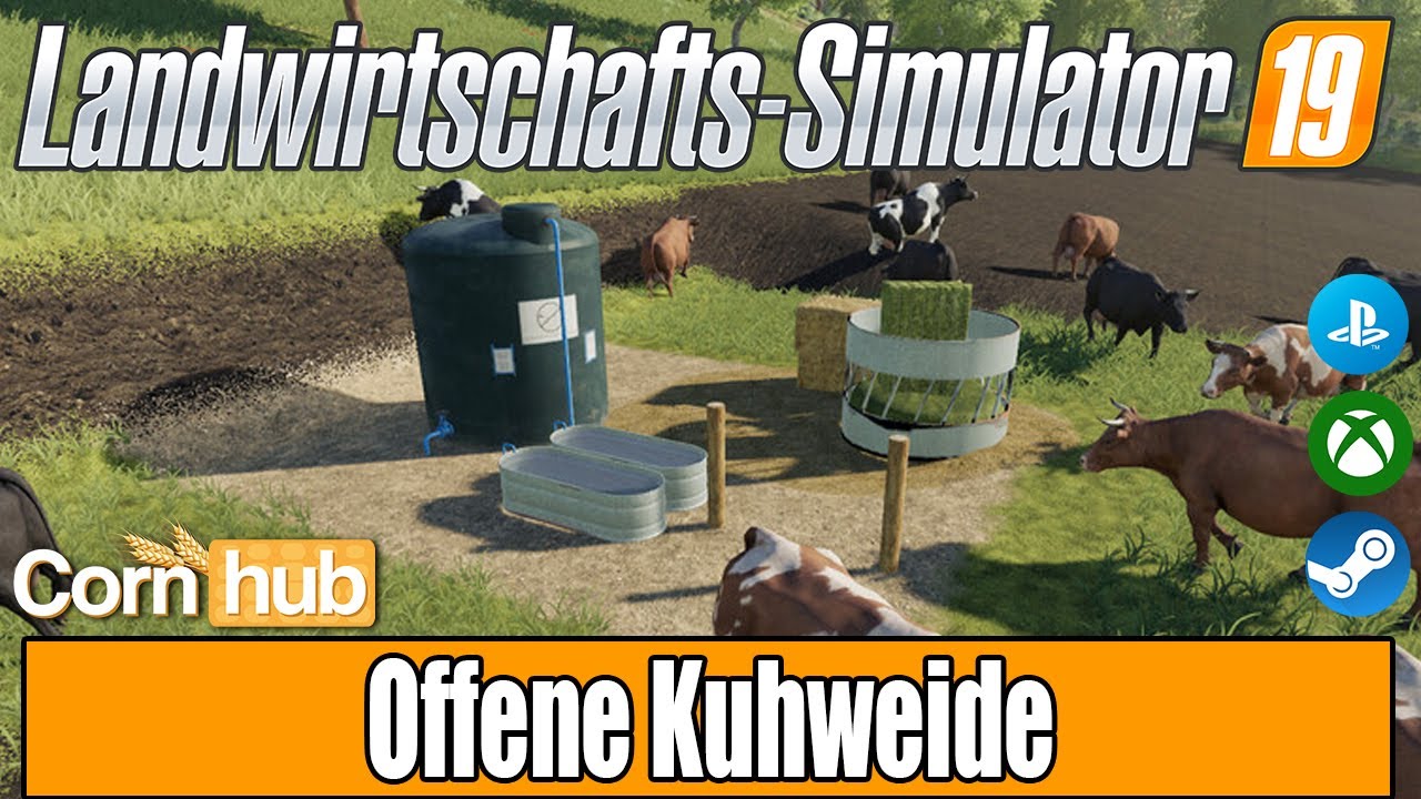 LS19 Modvorstellung - Offene Kuhweide - LS19 Mods