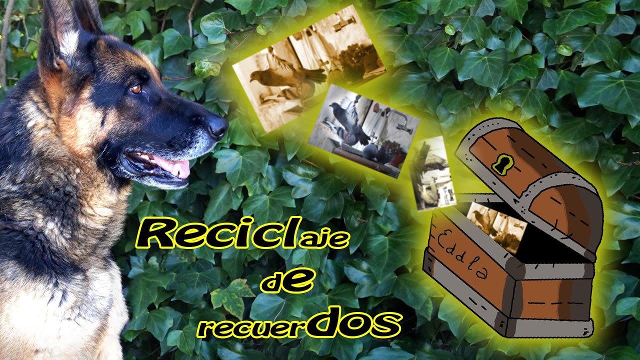 ♻️ Reciclaje de recuerdos ♻️ #RecyclingSmiles ♻️ #ReciclajeDeSonrisas #EDDLA