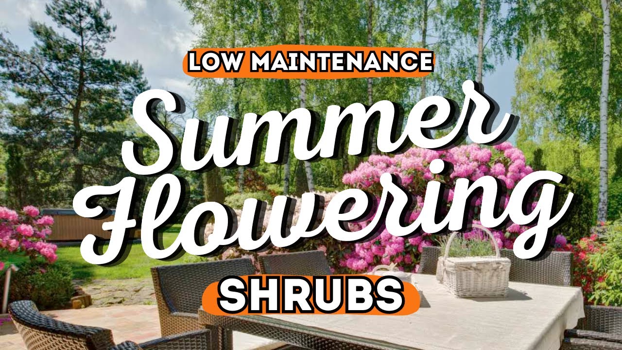 ✨ Make Your Garden Pop ✨ 5 Hassle-Free Summer Blooming Shrubs ☀️ 🧡
