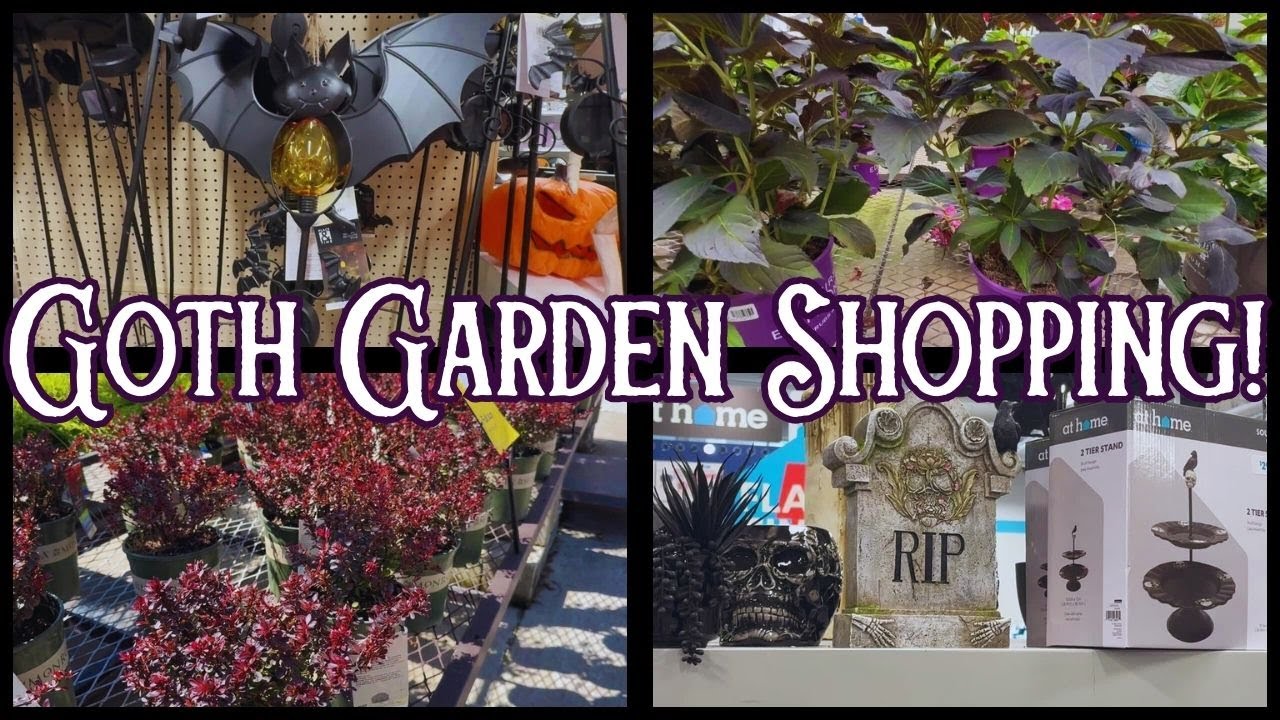 Let's go shopping for the Goth Garden!  Plants & Decor~ At Home, Lowes, Joann