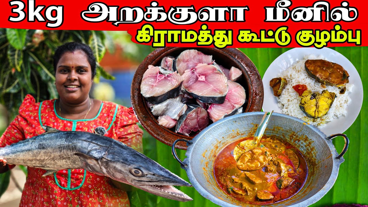 3 கிலோ அறக்குளா மீனில் அருமையான சமையல் | Our Village lifestays cooking | vanni vlog