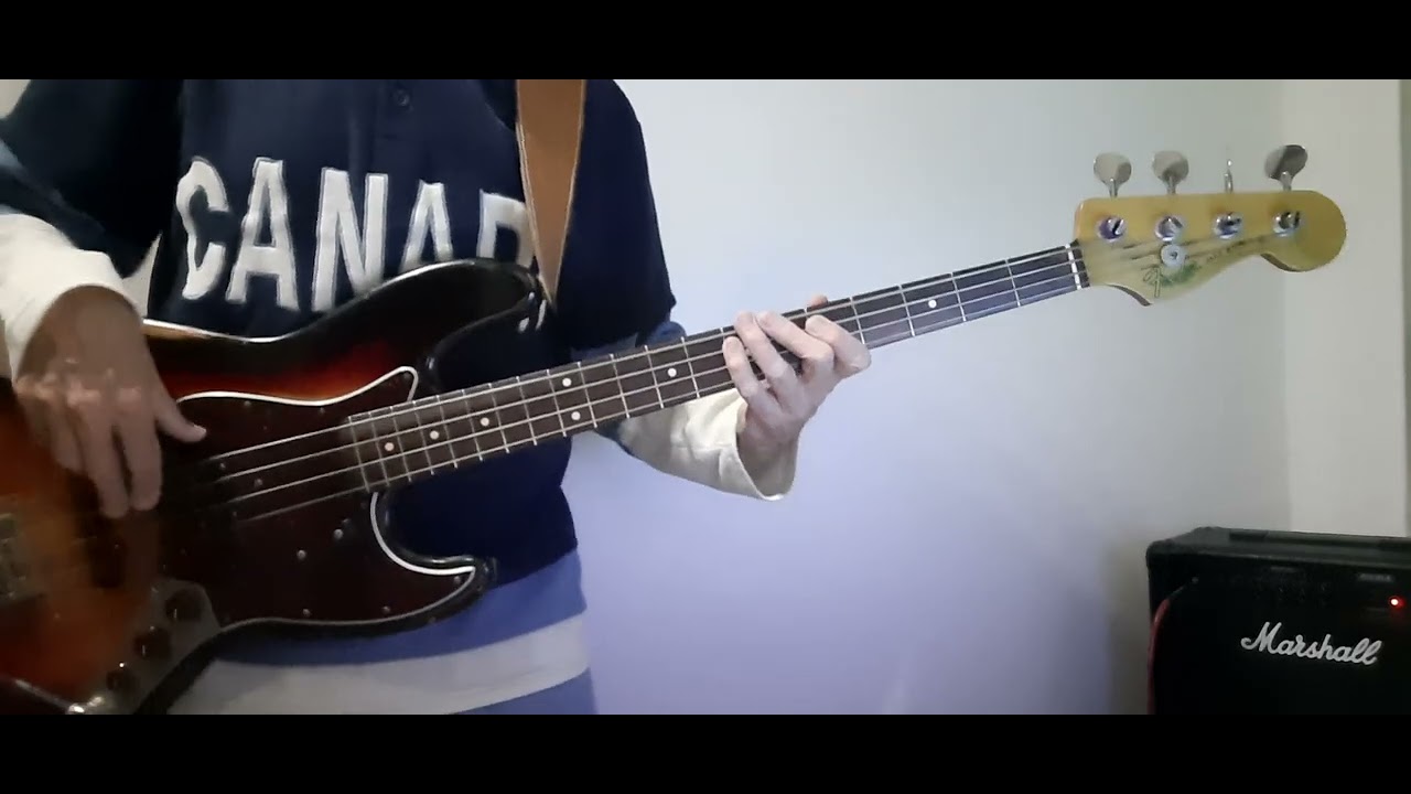 Merry Cat - The Kicker - Bass Cover 