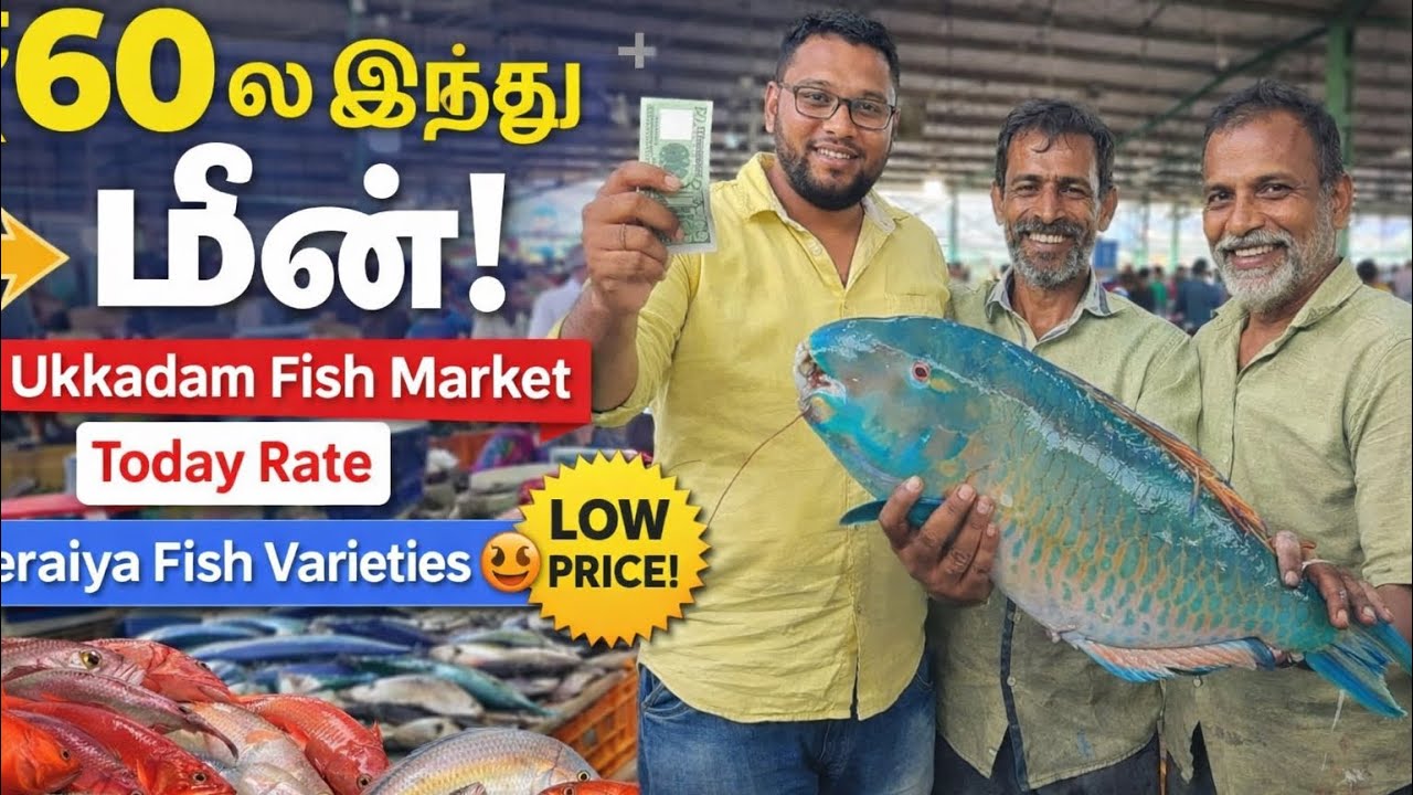 ₹60 ல இருந்து மீன்! 🐟 Ukkadam Fish Market Today Rate | Neraiya Fish Varieties 