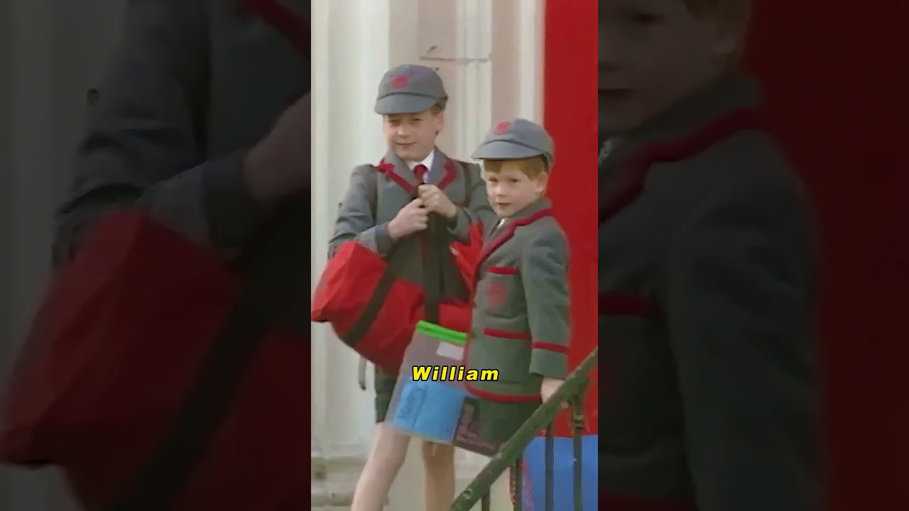 Почему в похоронном автомобиле Дианы ехал королевский телохранитель? #принцессадиана #принцвиллиа...