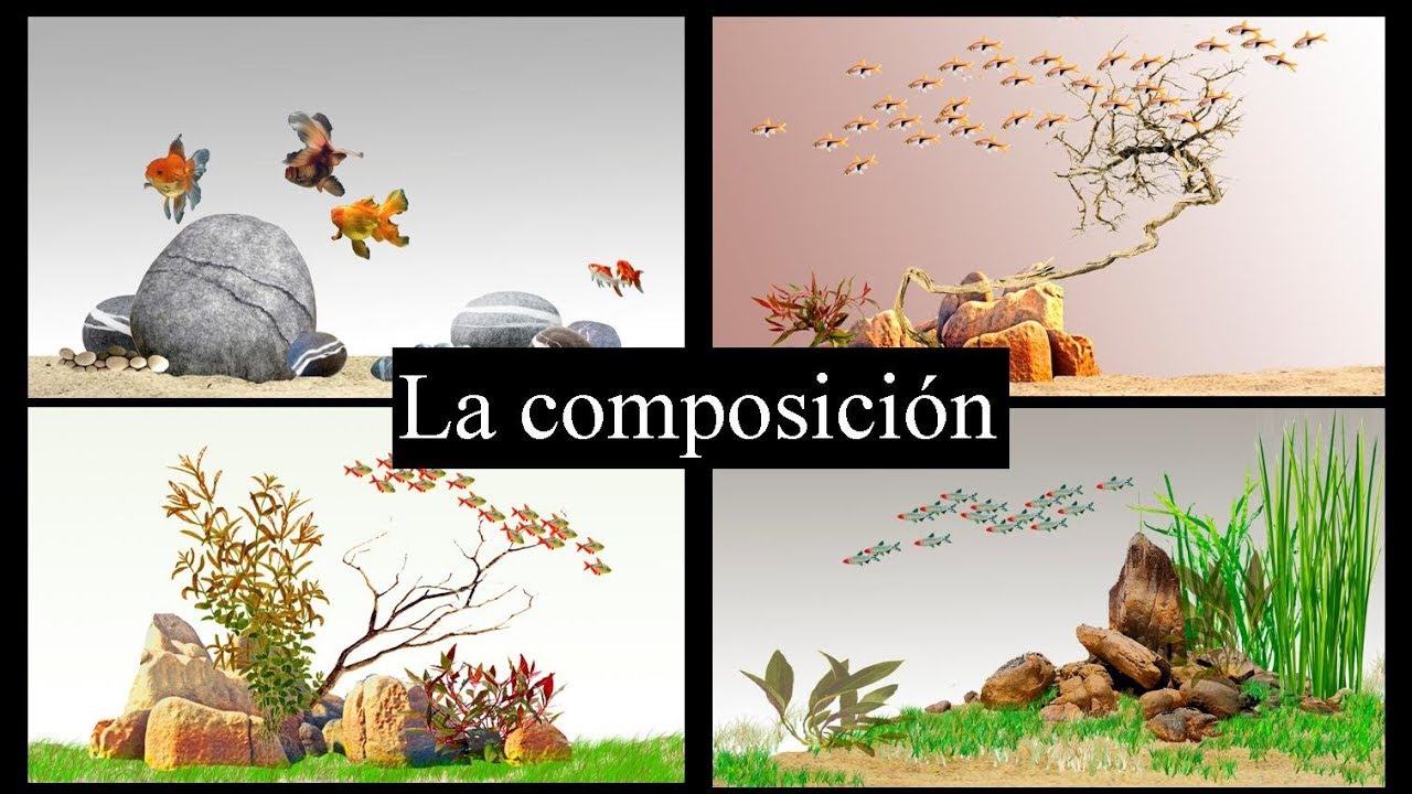 Aquascaping para novatos 5. La composición