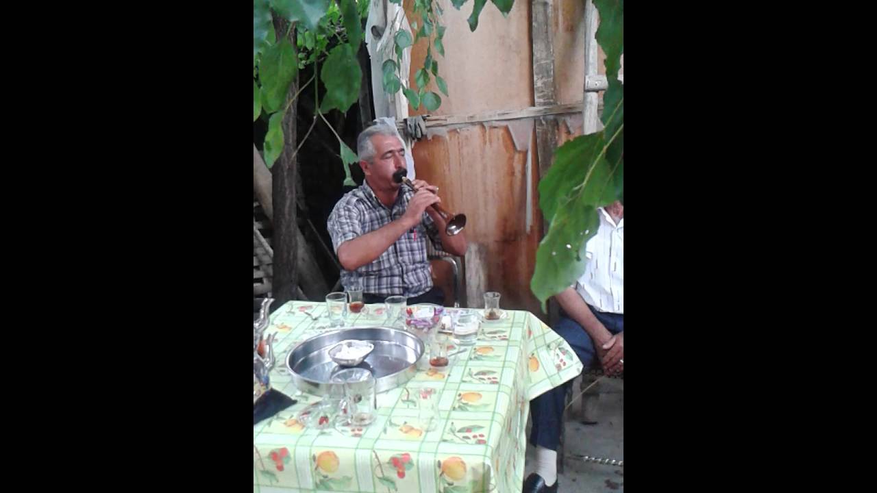 Zurnacı alişan pertek