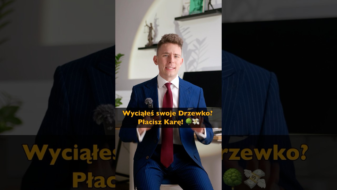 Twoje Drzewo Nie Jest Twoje! 🌳⚖️