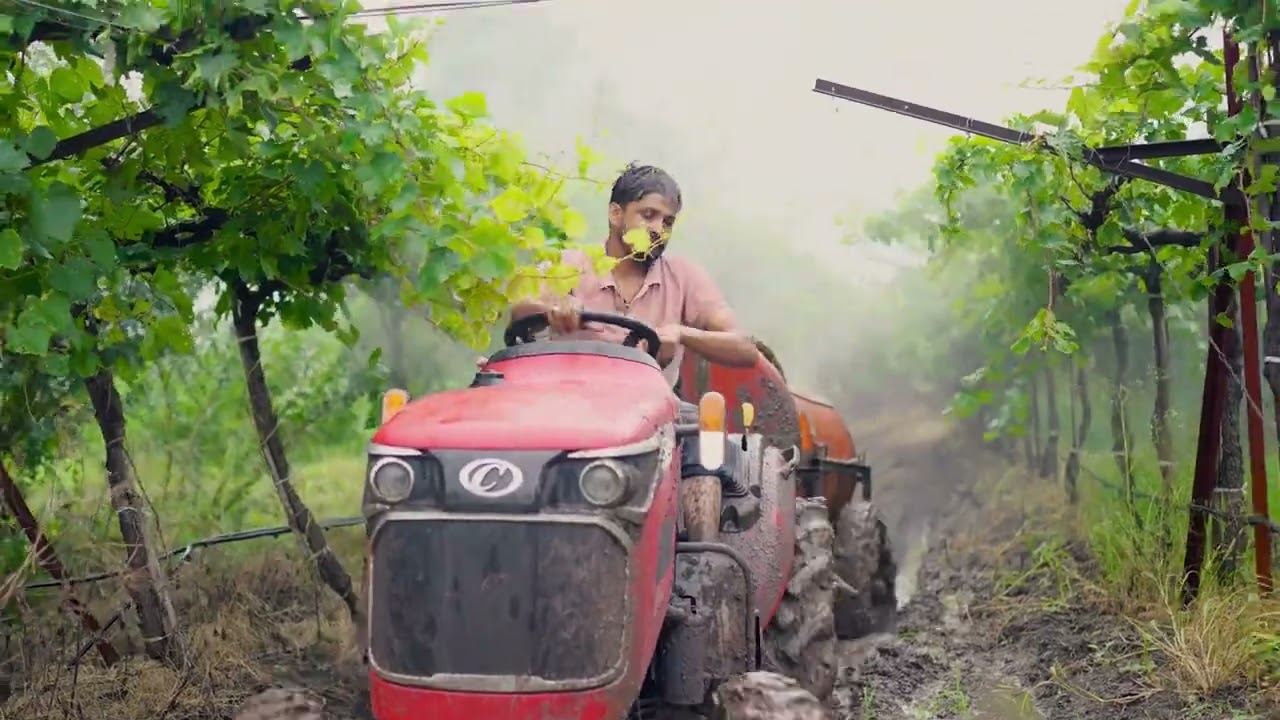 Captain Tractor 283 4WD: Effortless Performance in Grapes Farms | No Slippage, Smooth Navigation
