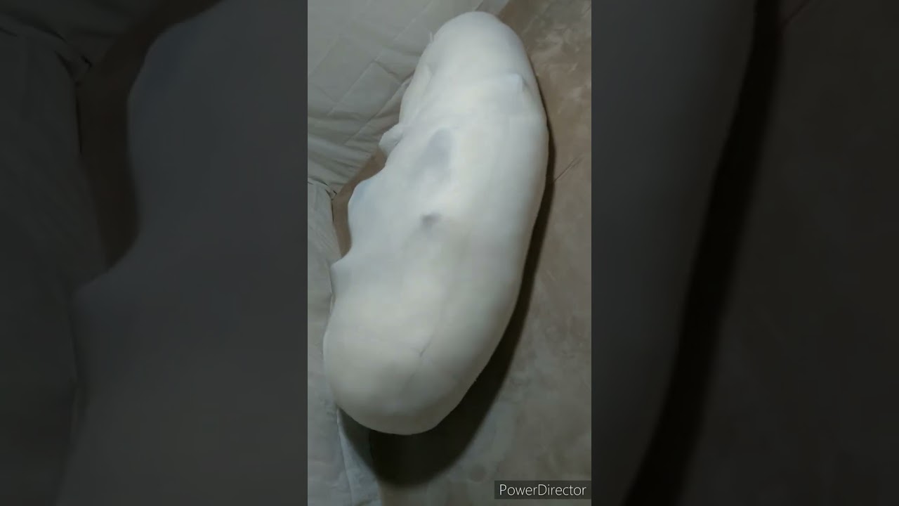 脱け出そうともがき蠢く綿繭