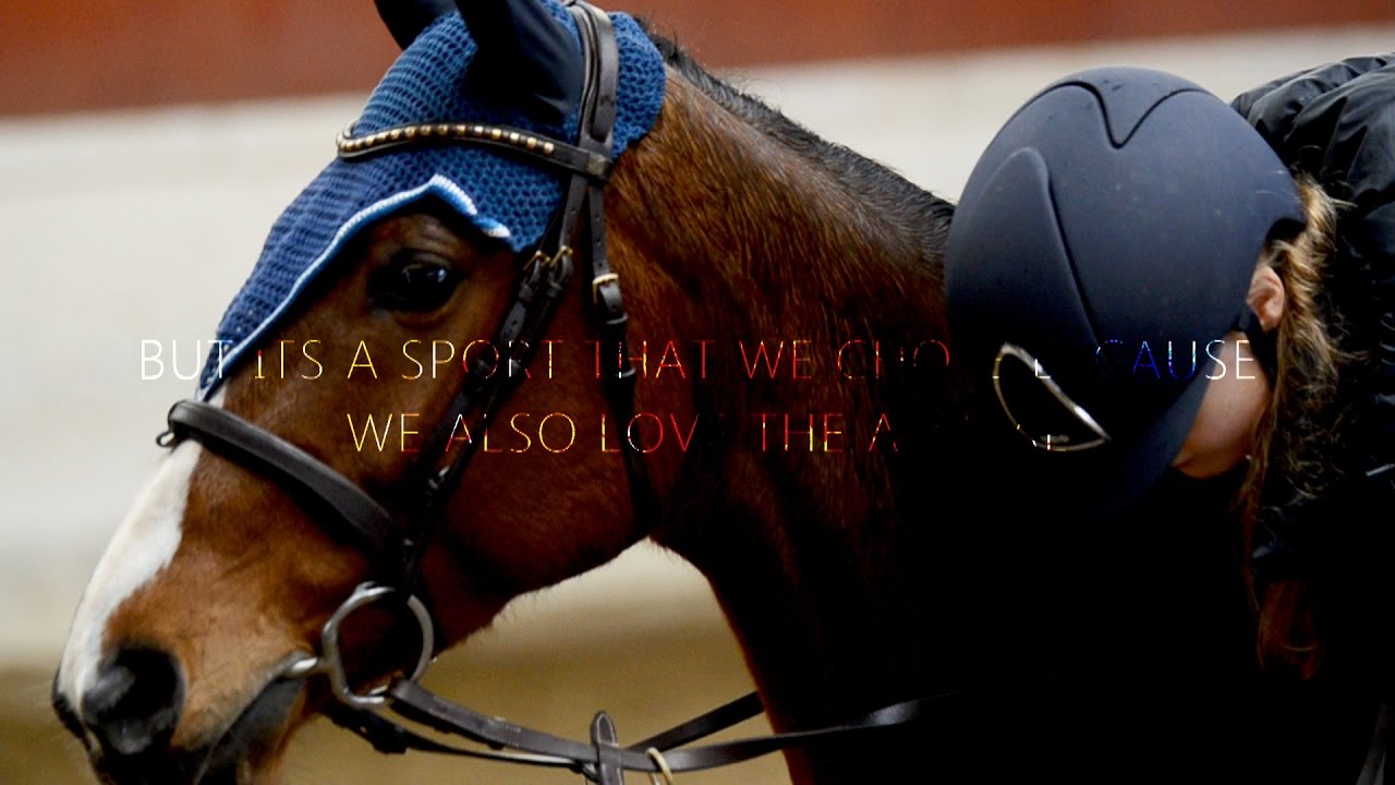 The horse- they change our lives.