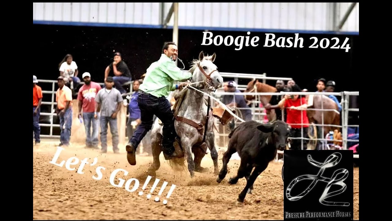 Boogie Bash 2024 $ Best Ever Elimination Calf Roping!!!