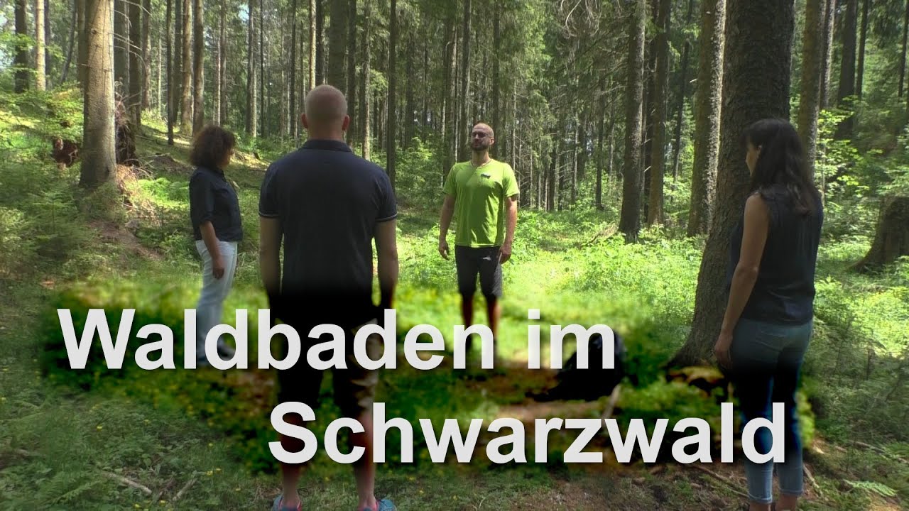 Waldbaden im Schwarzwald - Waldbaden Shinrin Yoku