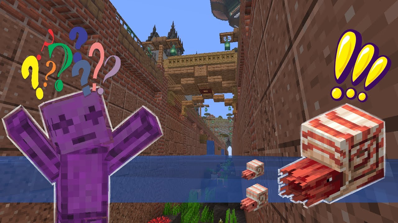 Building a Nautilus Canal