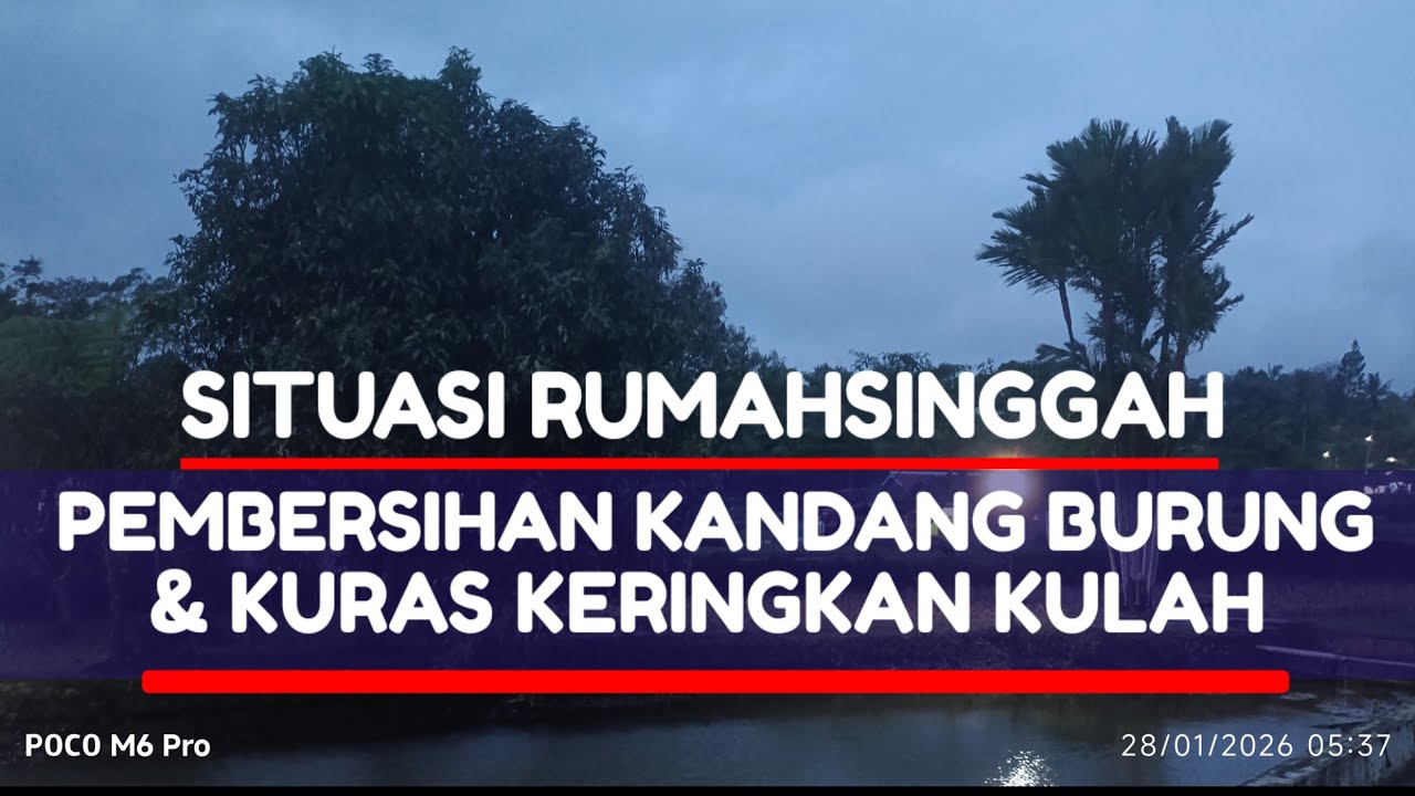 Situasi RUMAHSINGGAH Pasca Sarah Dipanen & Pembersihan Vill@, Kandang Burung Serta Kolam Ikan