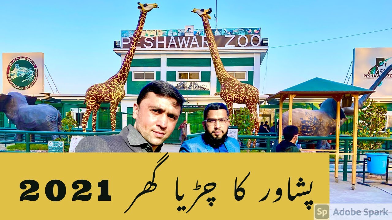Peshawar Zoo | پشاور کا چڑیا گھر | #peshawarzoo | Peshawar Zoo 2021 | Peshawar Zoo Complete Video