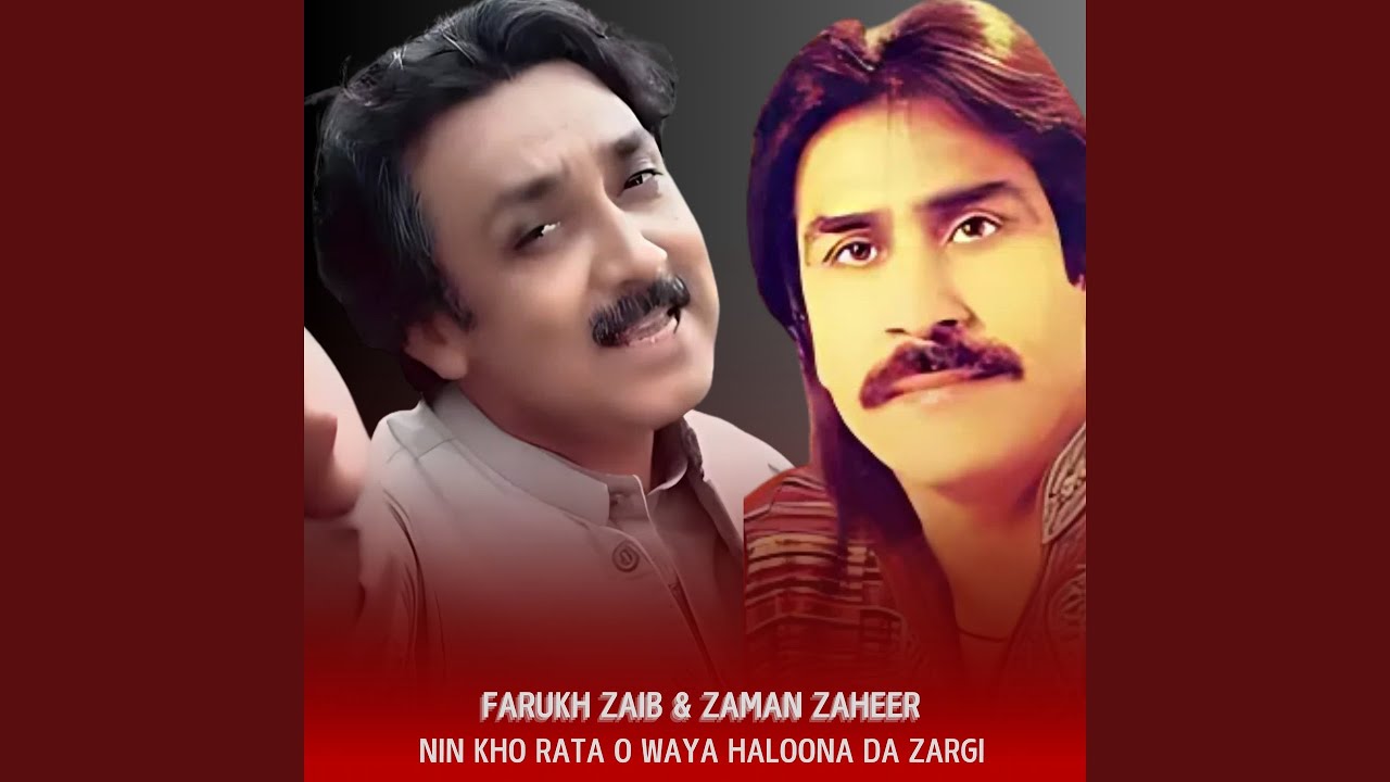 Nin Kho Rata O Waya Haloona Da Zargi
