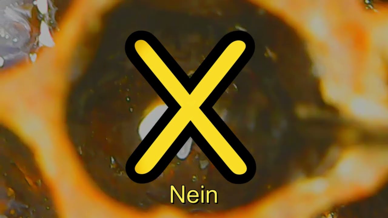 Umlarven aber Richtig  Film Bee Live