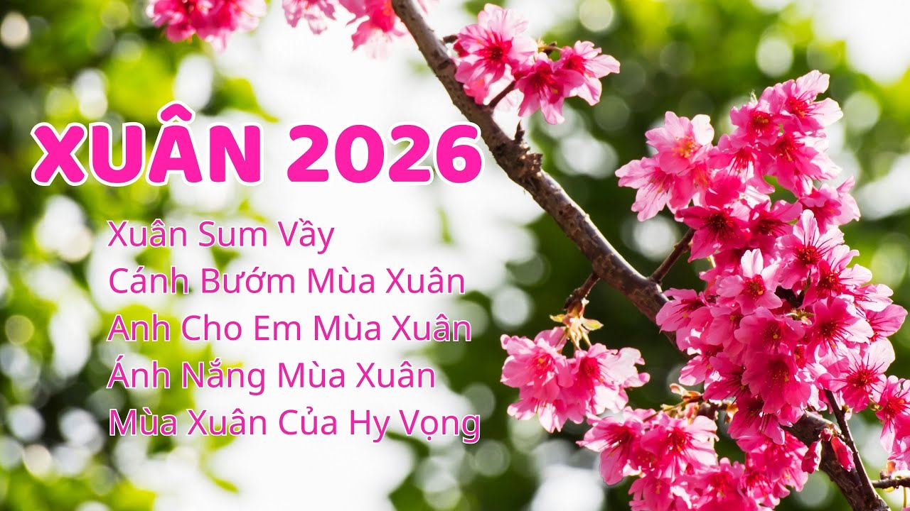Xuân Hy Vọng | Nhạc Xuân Sum Vầy – Rộn Ràng & Ấm Áp | Disco Xuân Nghe Là Thấy Vui