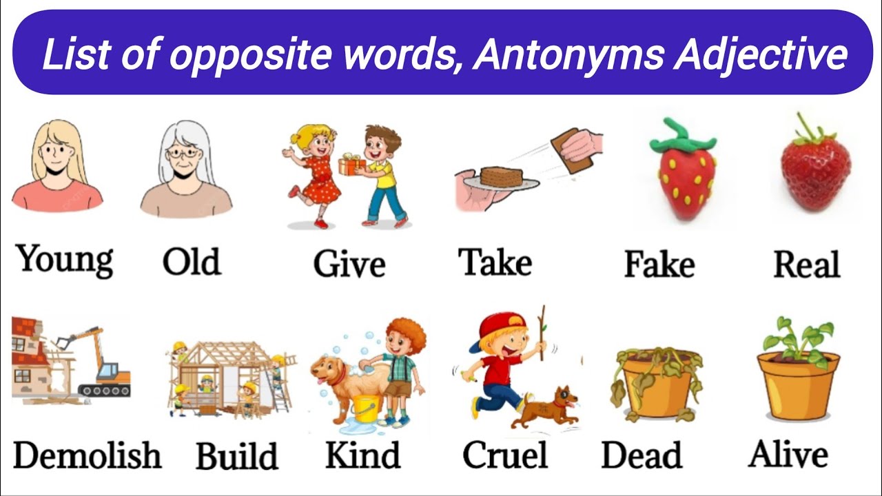 250 Opposite Words | Antonyms In English | Opposites | Antonyms Adjectives | Common oppositewords