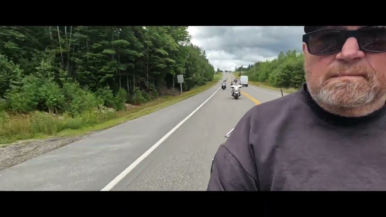 BANGOR HOG 