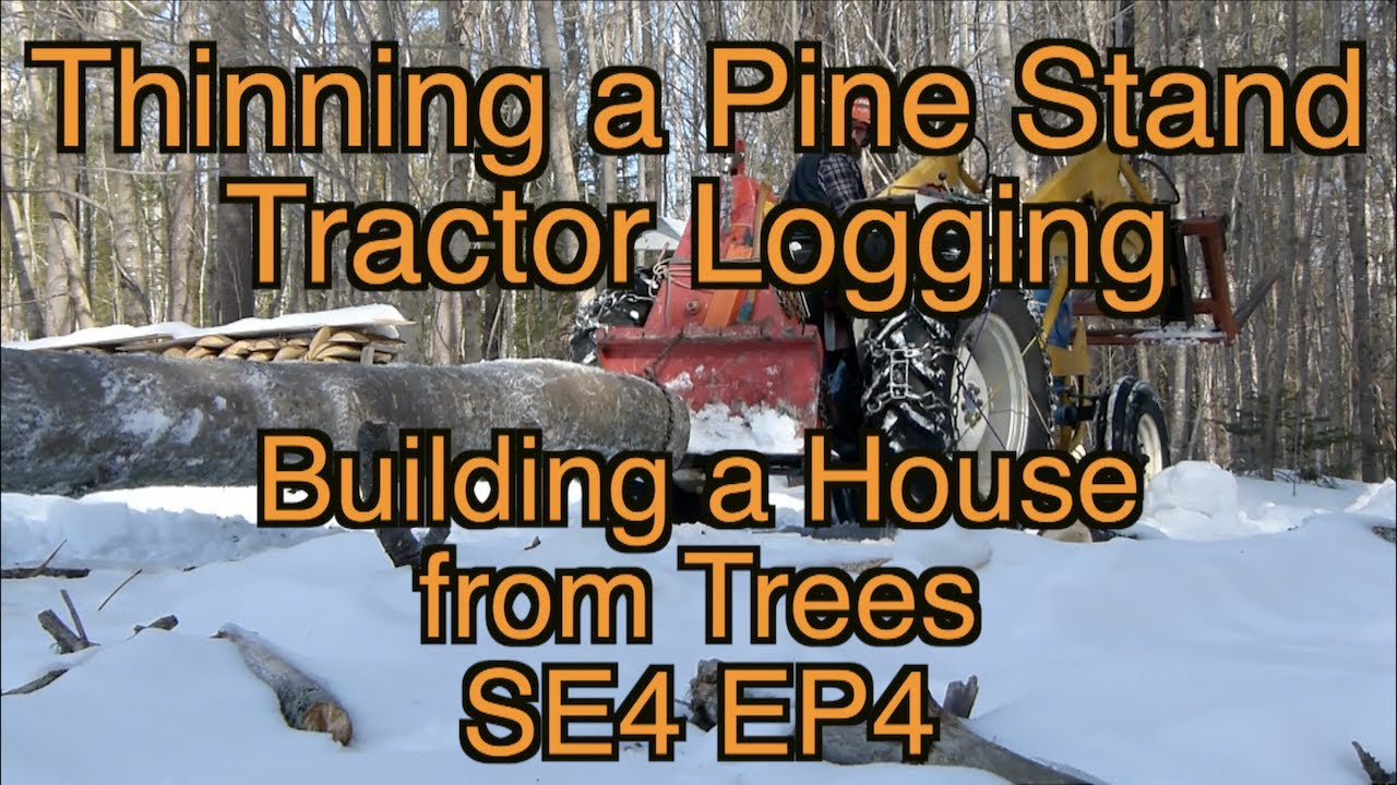 Building a House from Trees SE4 EP4 Thining a Pine Stand, Tractor Logging pre-boards.