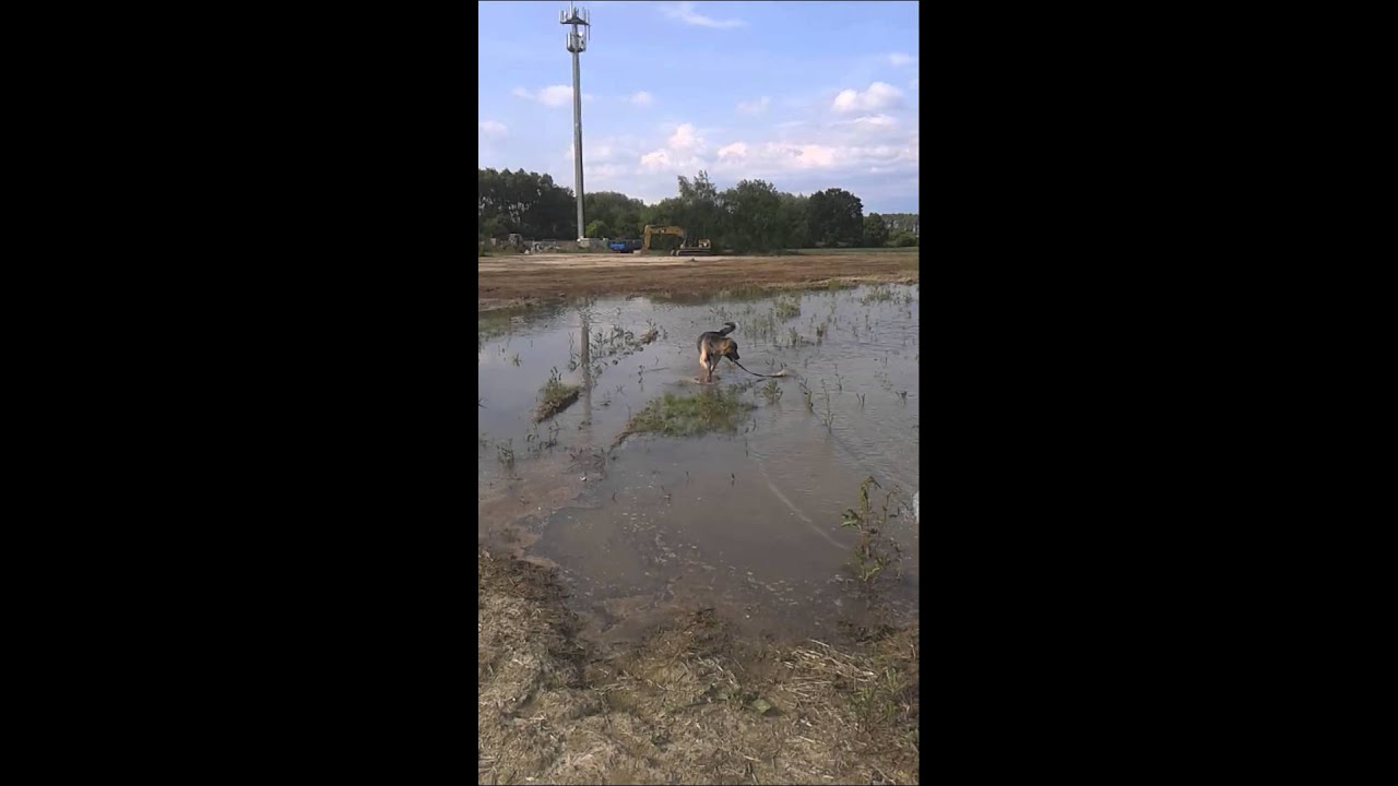 Henry  beim Wasser und Schlammtauchen(Ton aus)